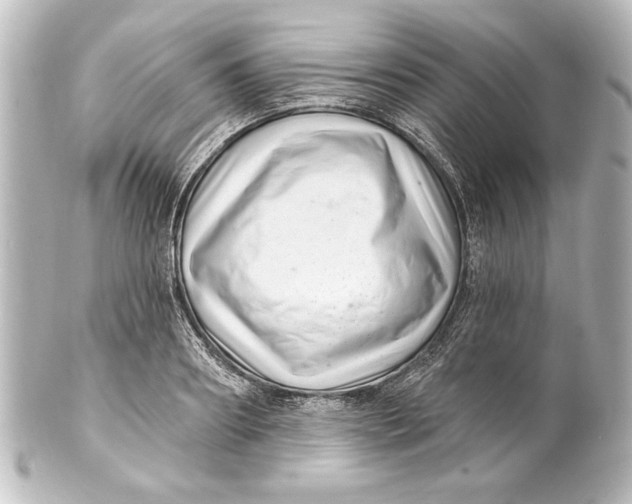 X0000101420890200807280935