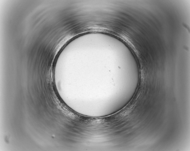 X0000101420891200807280935