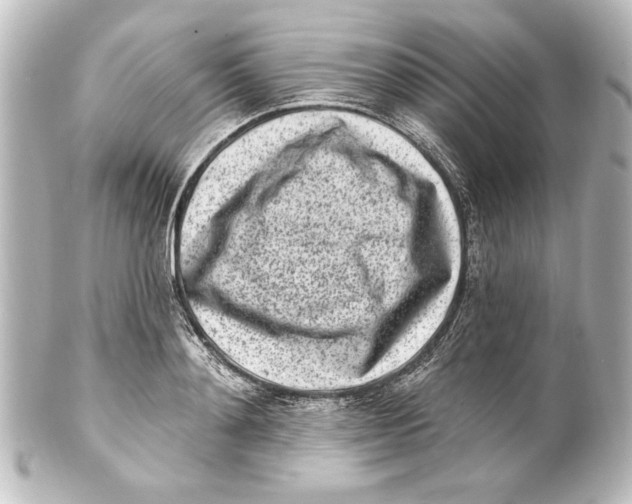 X0000101420892200807280935