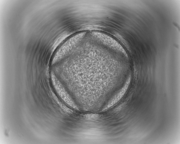 X0000101420893200807280935