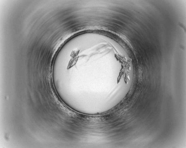 X0000101420895200807280935