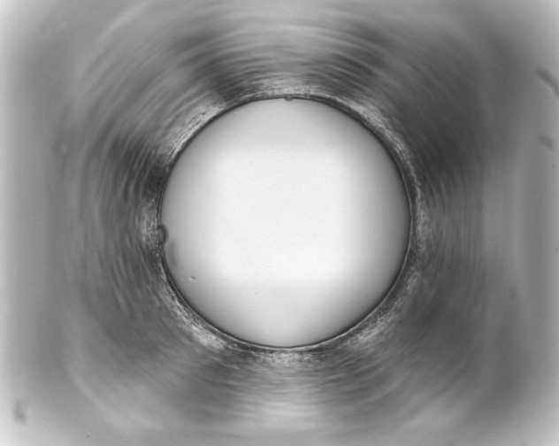 X0000101420897200807280935