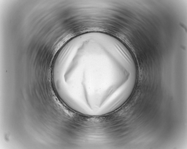 X0000101420898200807280935