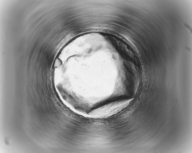 X0000101420899200807280935