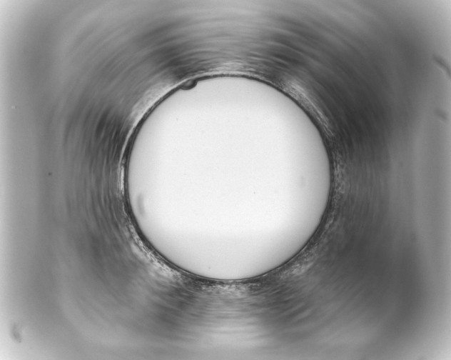 X0000101420900200807280935