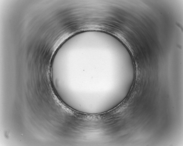 X0000101420901200807280935