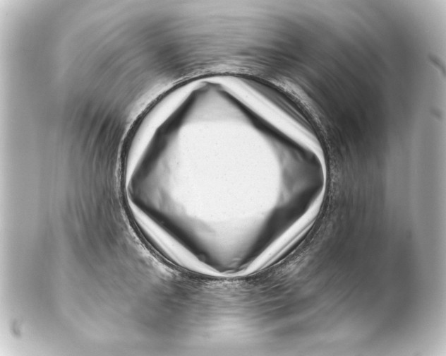 X0000101420902200807280935