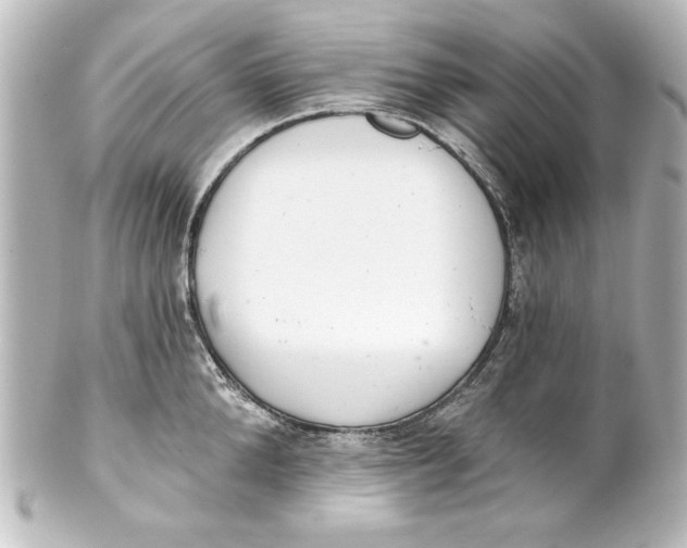 X0000101420904200807280935