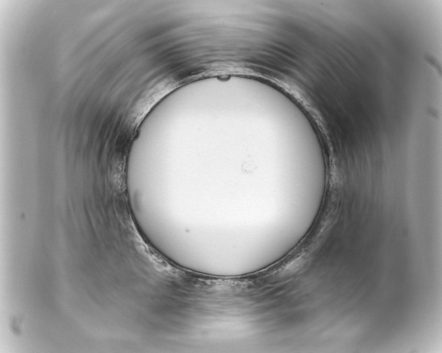 X0000101420905200807280935