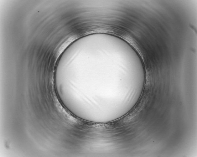 X0000101420906200807280935