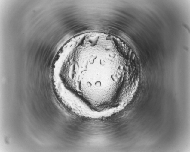 X0000101420907200807280935