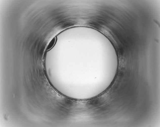 X0000101420908200807280935