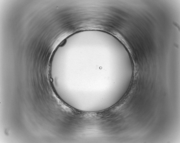 X0000101420909200807280935