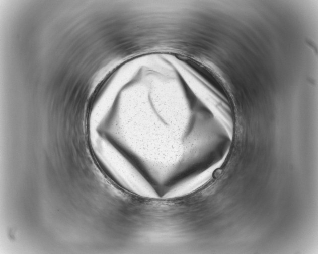 X0000101420910200807280935