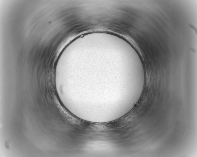 X0000101420911200807280935