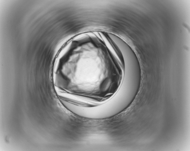 X0000101420912200807280935