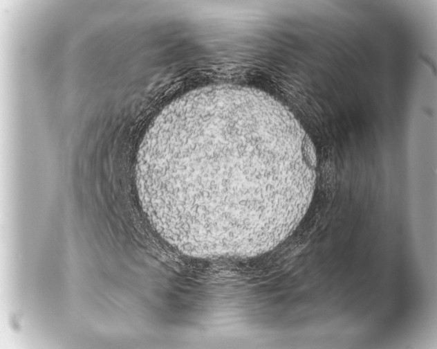 X0000101420913200807280934