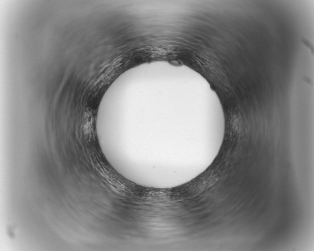 X0000101420914200807280934