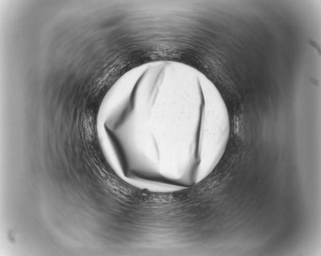 X0000101420915200807280934