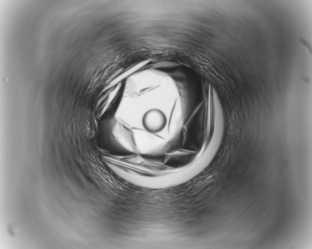 X0000101420916200807280934