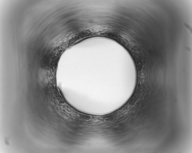 X0000101420917200807280934