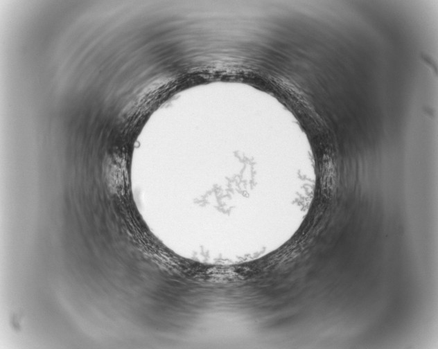 X0000101420918200807280934