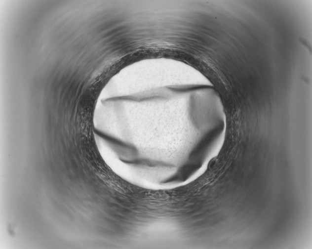 X0000101420919200807280934