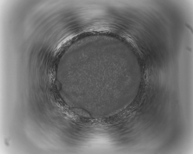 X0000101420920200807280934