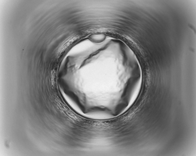 X0000101420921200807280934