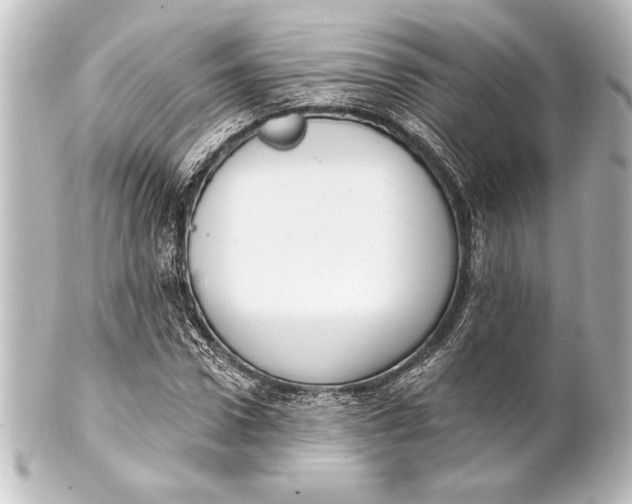 X0000101420922200807280934