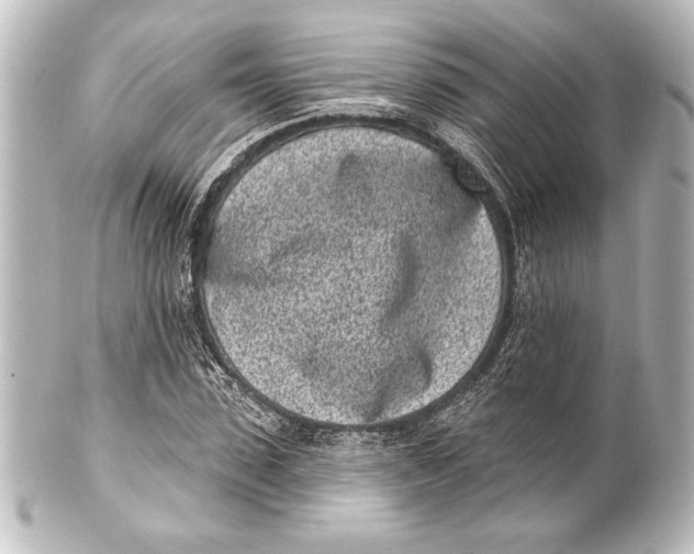 X0000101420923200807280934