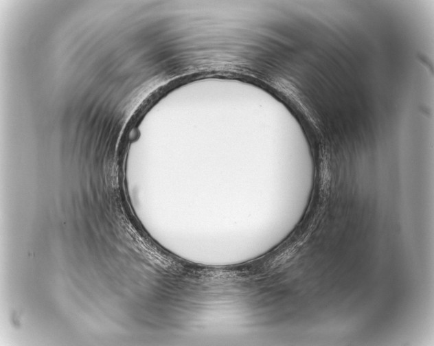 X0000101420924200807280934