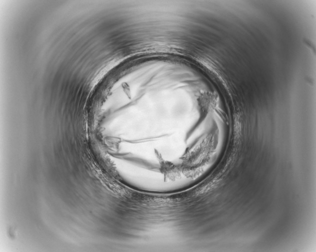 X0000101420925200807280934