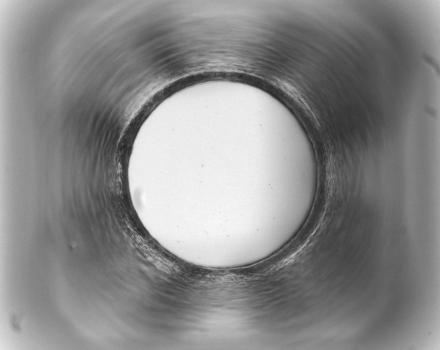 X0000101420926200807280934