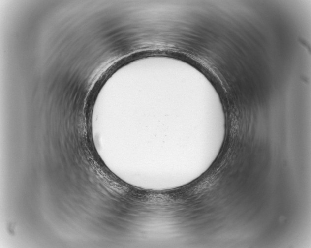 X0000101420927200807280934