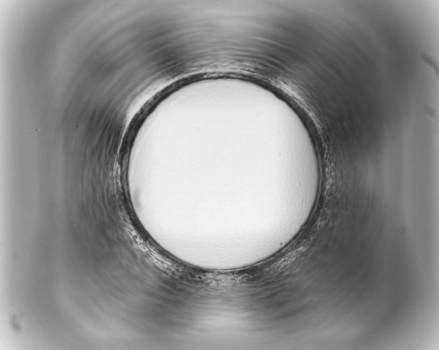 X0000101420928200807280934