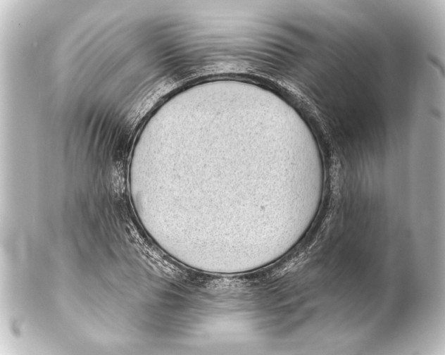 X0000101420929200807280934