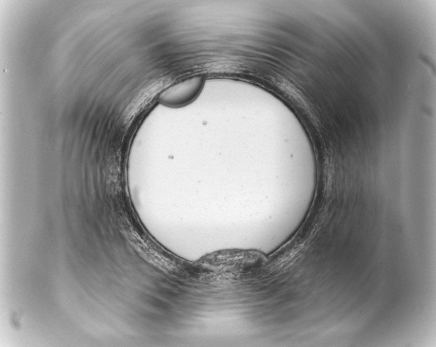 X0000101420930200807280934