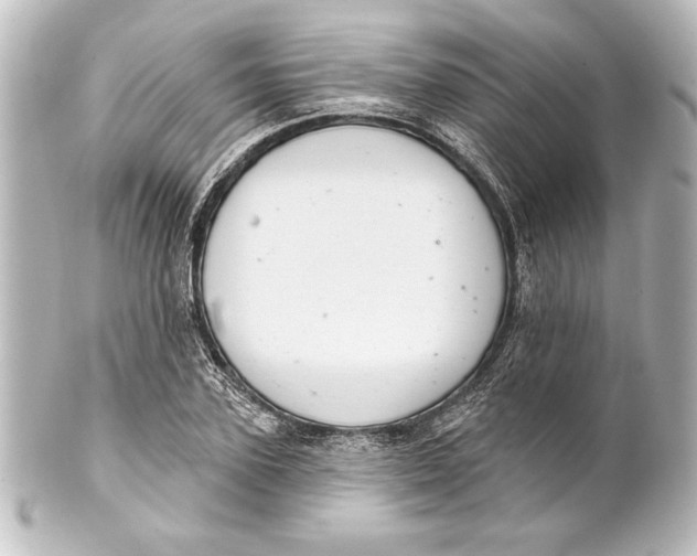 X0000101420931200807280934