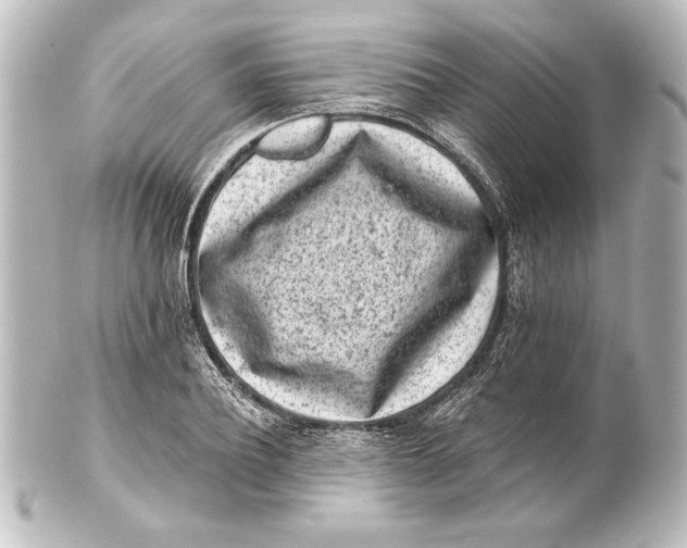 X0000101420932200807280934