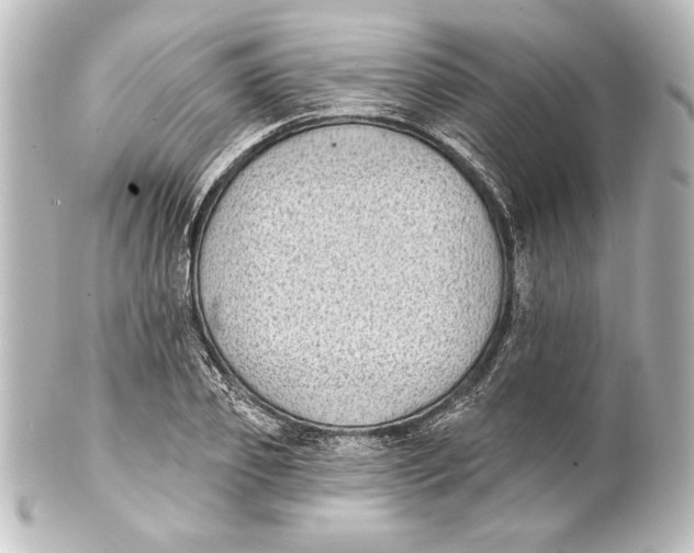 X0000101420933200807280934