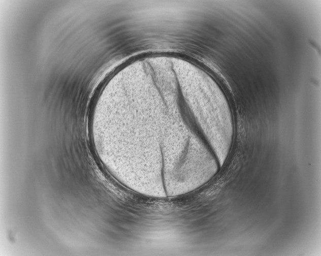 X0000101420935200807280934