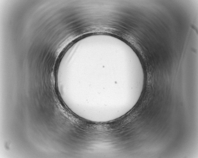 X0000101420936200807280934