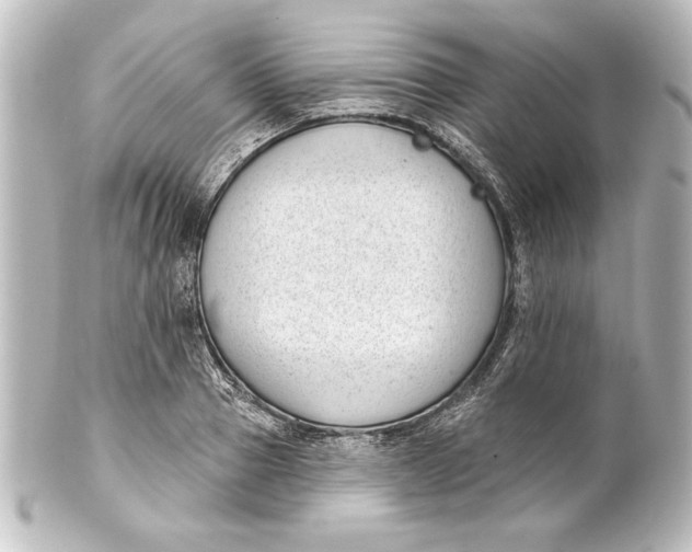 X0000101420937200807280934