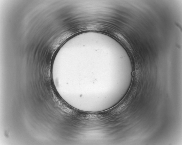 X0000101420938200807280934