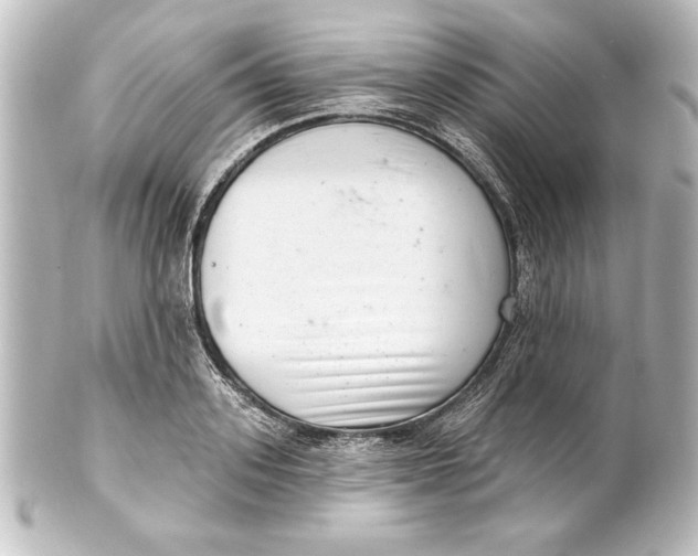 X0000101420939200807280934