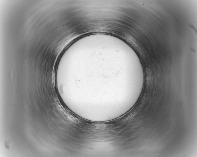 X0000101420940200807280934