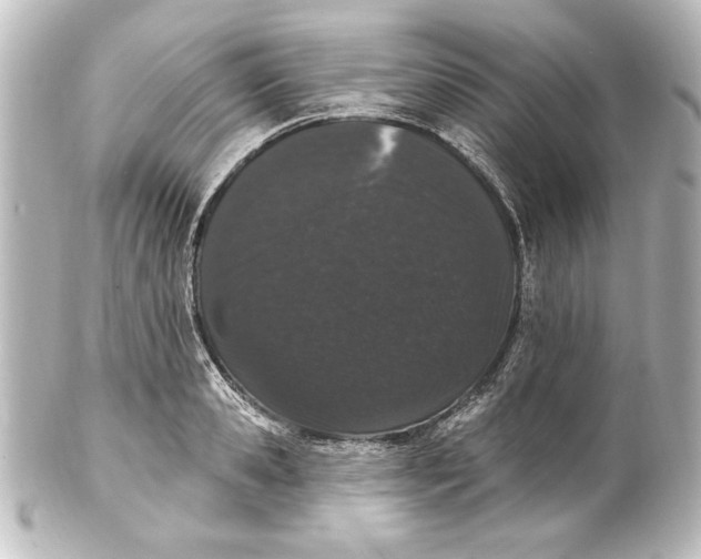 X0000101420941200807280934