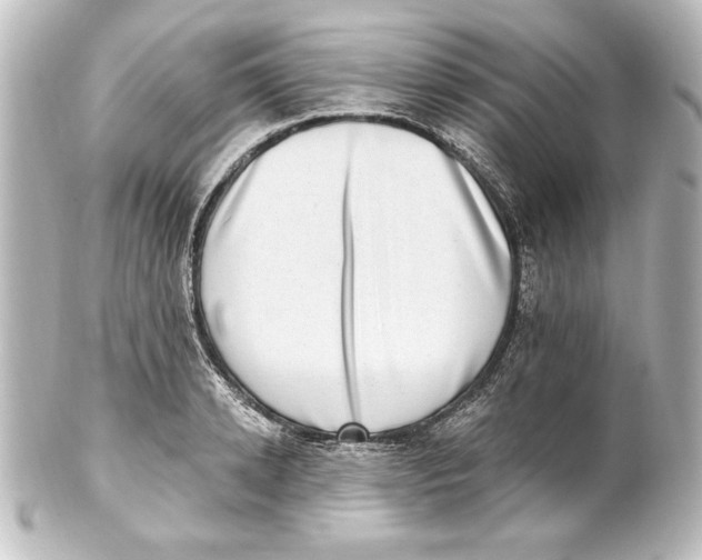 X0000101420942200807280934