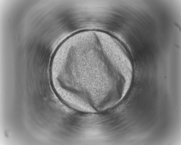 X0000101420943200807280934